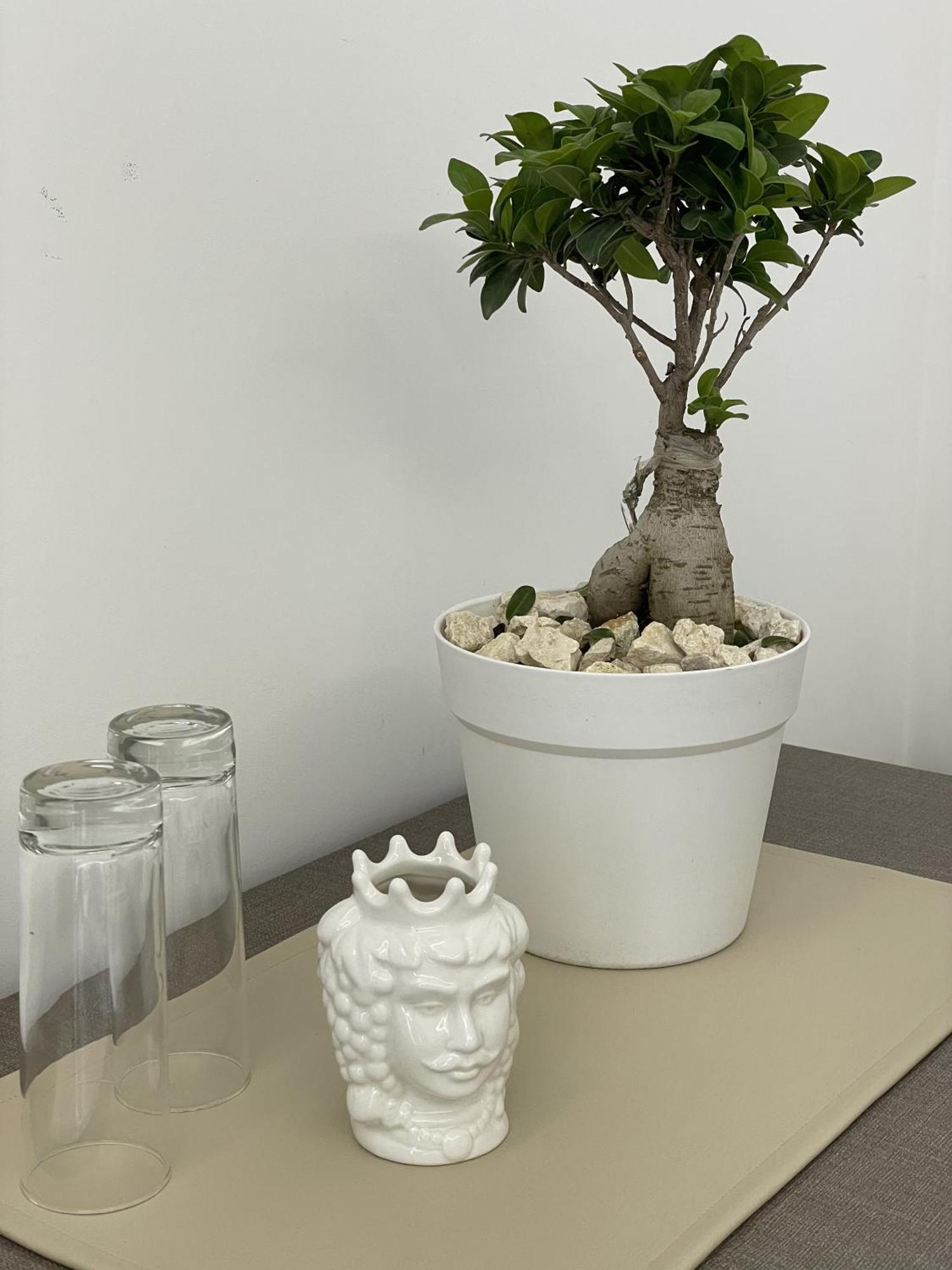 Paradise Sicily Rooms Calatabiano Extérieur photo